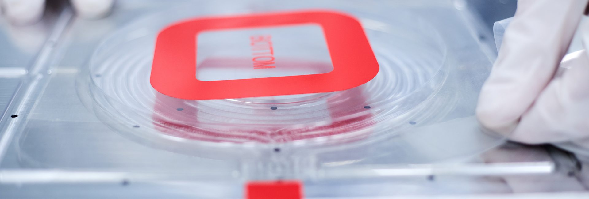 20066_ADVICE_MAAN_41